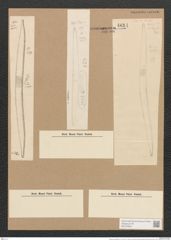 Hantzschia elongata Grun. (de-Toni-Nr.: Genus 50, Species 2206) Zeichnungen Sammlung Grunow Nr. 4614 (NHMW-BOT-W0372655)